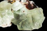 Blue-Green, Cubic Fluorite Crystal Cluster - Morocco #98984-2